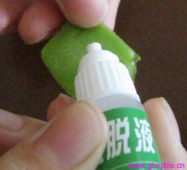 農(nóng)藥殘留速測卡