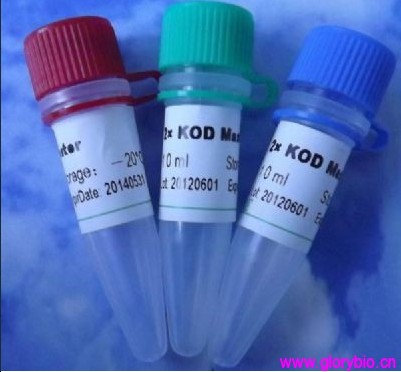 Goat anti mouse antibody
