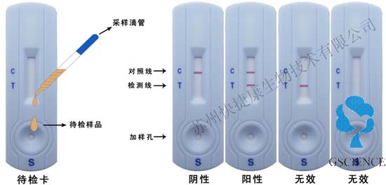 豬口蹄疫抗體檢測卡