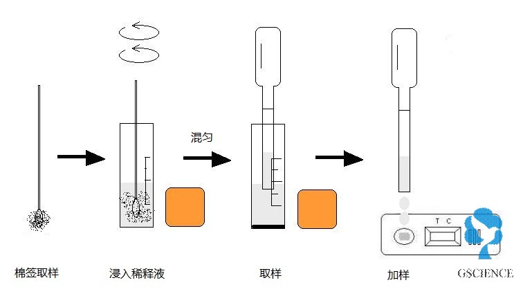 寵物糞便檢查流程圖