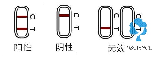 寵物疾病檢查