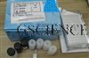 人蛋白酪氨酸磷酸酶ELISA試劑盒